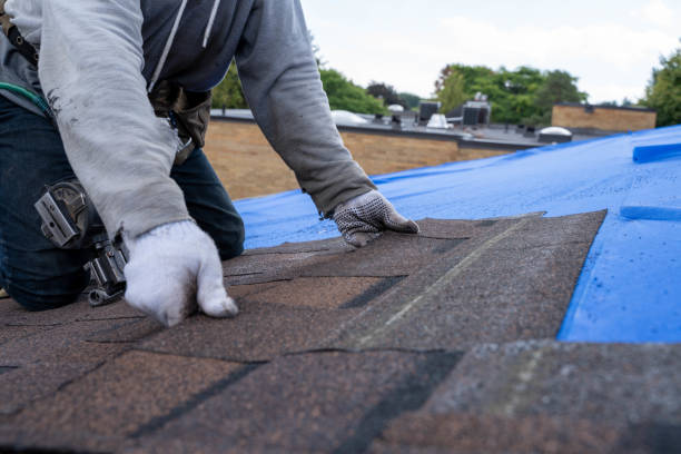 Roof Gutter Cleaning in Mckinley, PA