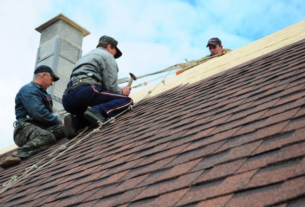 Best Gutter Installation and Roofing  in Mckinley, PA